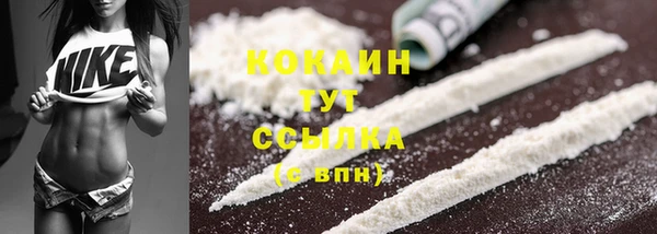 твердый Богородск