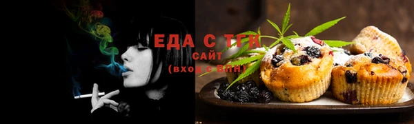 гидра Рославль