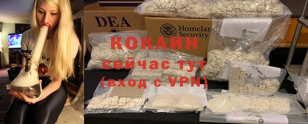 твердый Богородск