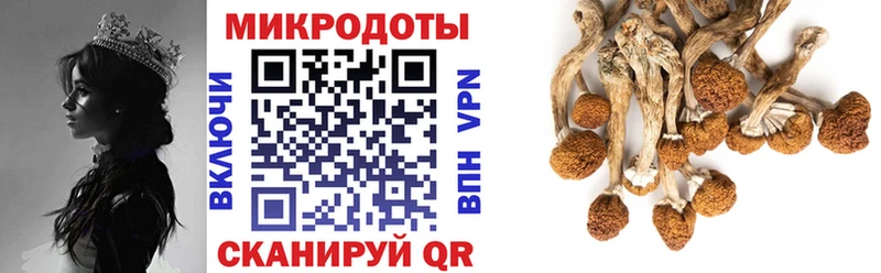 блэк спрут маркетплейс Кочубеевское Псилоцибиновые грибы ЛСД